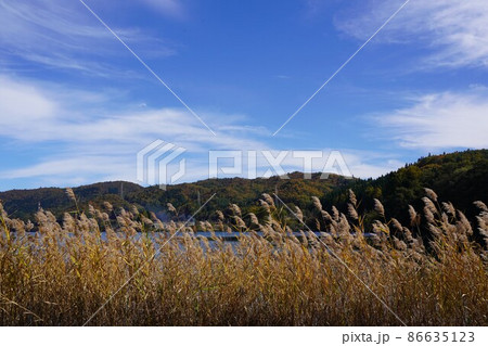 晴らしい湖がありました。（信州大町の青木湖周辺）長野県秋の塩の道ウオーキングに行って来ました。素 86635123