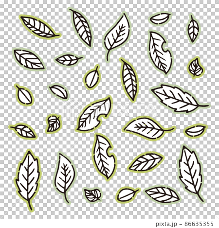 Leaf drawing Leaf drawing 86635355