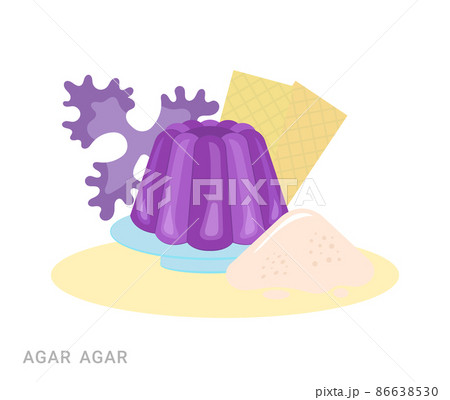 Vector illustration of Agar on a plate and red algae. Food additive on a white background. 86638530