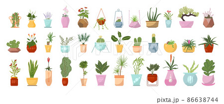 A set of home flowers in pots. Colored doodle style. 86638744