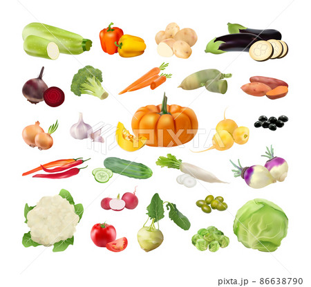 Collection of vegetables in a realistic style. Detailed illustrations. 86638790