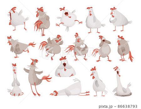 Collection of funny illustrations of rooster and hen. Comic birds. 86638793