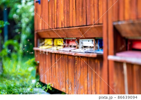 bees flying in a colorful wooden hive bees flying in a colorful wooden hive 86639094