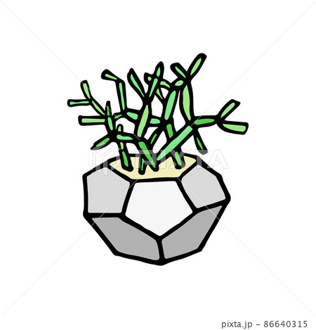 Succulent doodle print. Home plants in modern flowerpot 86640315