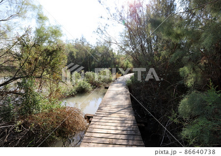 footbridge in a city park in northern Israel. footbridge in a city park in northern Israel. 86640738