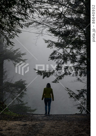 A woman like a ghost walks through the misty forest, the fear and mystery of the fog in the woods. A woman like a ghost walks through the misty forest, the fear and mystery of the fog in the woods. 86640932