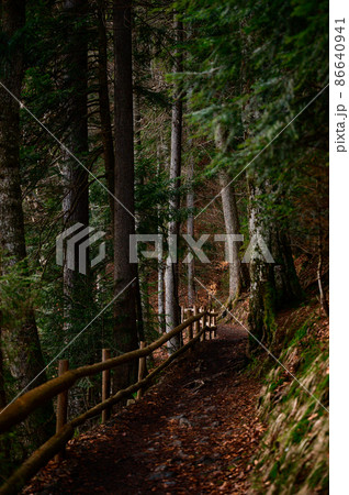 Forest trail with fence, hiking in the woods, Ukrainian Carpathians and hiking trails. 86640941