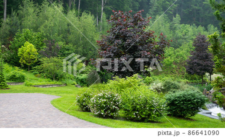 Landscape design. Trees, bushes, green lawns. Beautiful park near the green forest Landscape design. Trees, bushes, green lawns. Beautiful park near the green forest 86641090