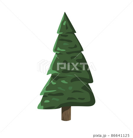 Realistic green spruce isolated on white background - Vector Realistic green spruce isolated on white background - Vector 86641125