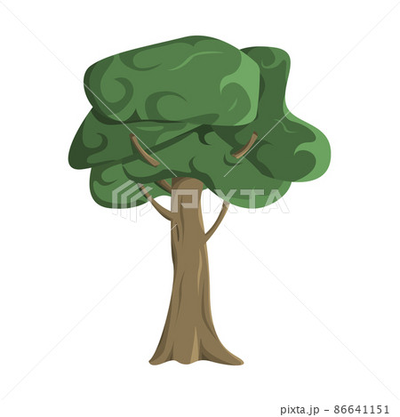 Realistic green oak tree isolated on white background - Vector Realistic green oak tree isolated on white background - Vector 86641151