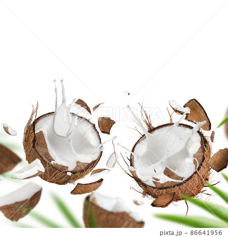 Coconut pieces flying in the air. Coconut pieces flying in the air. 86641956