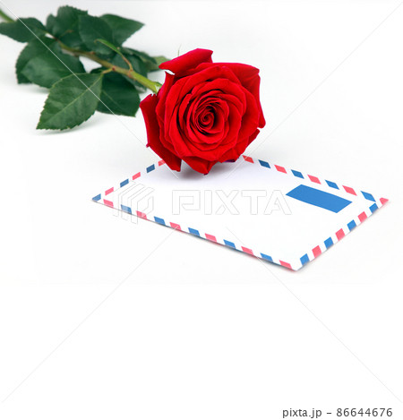 Rose flower and vintage love letter. I love you valentine card. 86644676