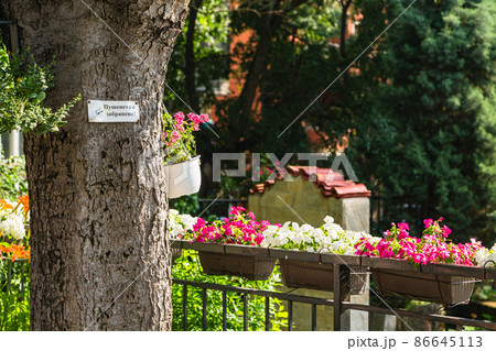 ブルガリア ヴァルナ St Athanasius Orthodox Church ブルガリア ヴァルナ St Athanasius Orthodox Church 86645113