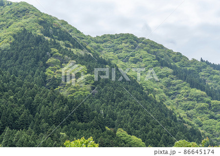 金持神社　界隈 86645174