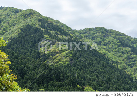 金持神社　界隈 86645175