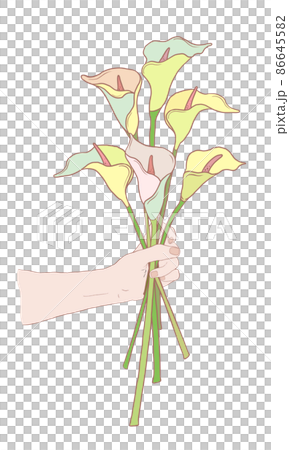花束・片手にカラーのお花がいっぱい 86645582
