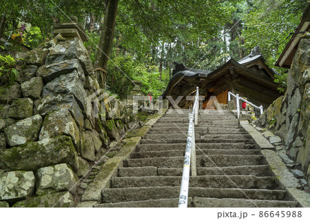 金持神社 86645988