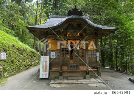 金持神社 金持神社 86645991