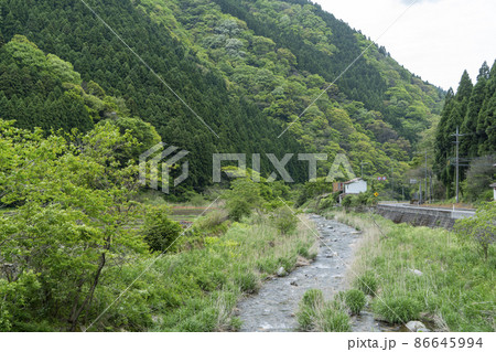 金持神社 金持神社 86645994