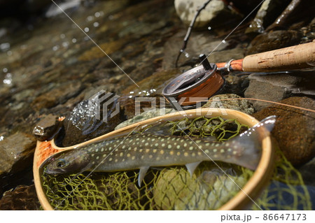 イワナ釣り 86647173