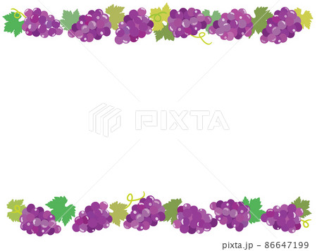 葡萄のフレームイラスト 86647199