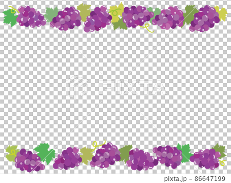 葡萄のフレームイラスト 86647199