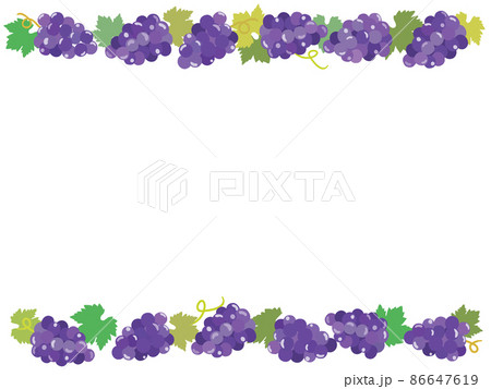 葡萄のフレームイラスト 葡萄のフレームイラスト 86647619