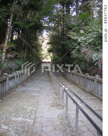神社への参道 神社への参道 86647762