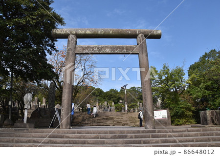 南洲墓地 86648012