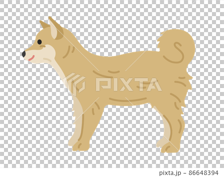 從側面看到的柴犬插圖 從側面看到的柴犬插圖 86648394