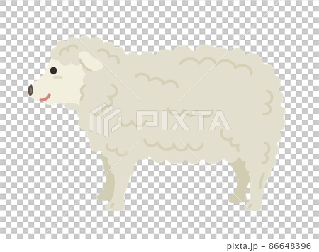 從側面看到的一隻白羊的插圖 86648396
