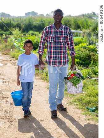 Farmer and his son go on the road and carry a basket of vegetables 86649106