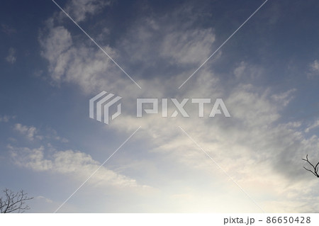 朝の空　太陽　木 86650428