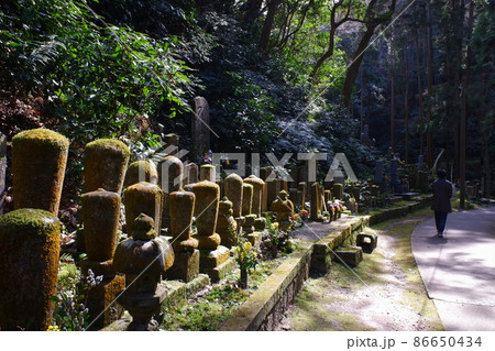 山奥の石畳を散歩する人 山奥の石畳を散歩する人 86650434