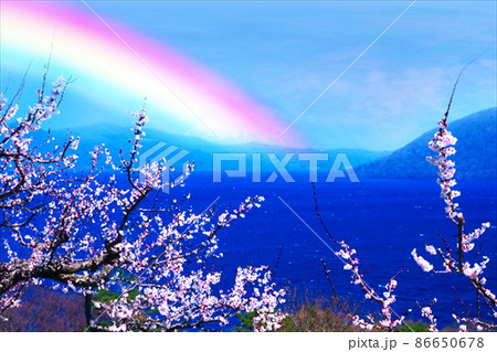 梅林公園に架かる七色の虹 梅林公園に架かる七色の虹 86650678