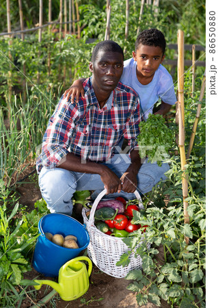 Happy family with harvest of vegetables in the garden Happy family with harvest of vegetables in the garden 86650880