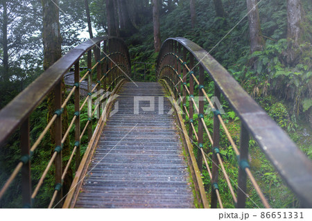 橋 ブリッジ 橋梁 86651331