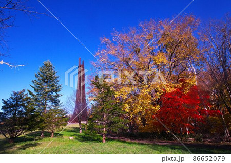 晩秋の百年記念塔 86652079