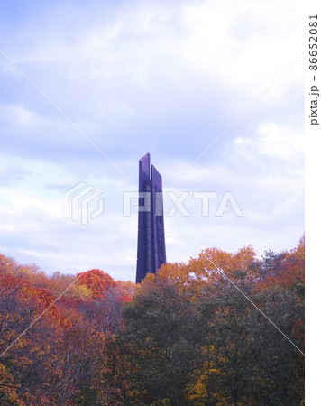 晩秋の百年記念塔 86652081