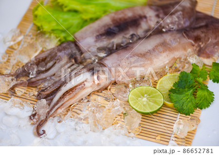 Squid on ice, Fresh raw squid with lettuce vegetable salad seafood coriander lemon lime on white plate background Squid on ice, Fresh raw squid with lettuce vegetable salad seafood coriander lemon lime on white plate background 86652781
