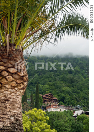 Scenic View of Houses on a Hill with Fog on the Top of It in Abkhazia, Tropical Palm Tree is on the Foreground. Selective Focus Scenic View of Houses on a Hill with Fog on the Top of It in Abkhazia, Tropical Palm Tree is on the Foreground. Selective Focus 86653155
