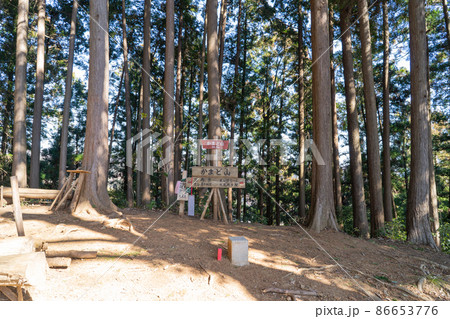かまど山の山頂(奥武蔵) かまど山の山頂(奥武蔵) 86653776