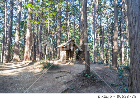 久須美山の山頂(奥武蔵) 久須美山の山頂(奥武蔵) 86653778