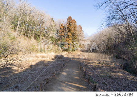 県立奥武蔵自然公園 県立奥武蔵自然公園 86653794