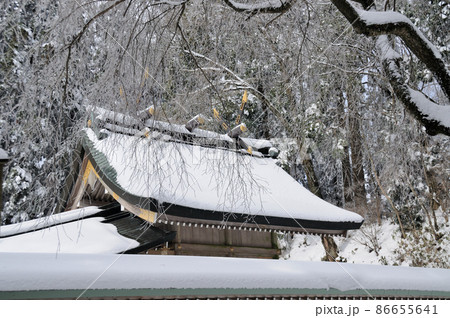 金剛山　葛木神社　【奈良県御所市】 86655641