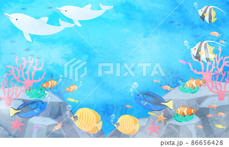 海中の熱帯魚とイルカのベクターイラスト背景のイラスト素材