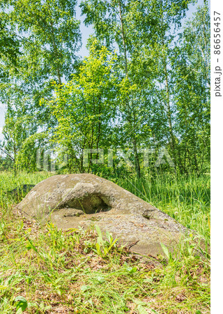 A large ancient sacred boulder stone, Sledovik, covered with lichen in a birch forest in the Orel region, Russia A large ancient sacred boulder stone, Sledovik, covered with lichen in a birch forest in the Orel region, Russia 86656457