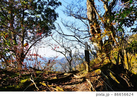 吾国愛宕ハイキングコース　天狗の奥庭 86656624