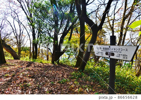 吾国愛宕ハイキングコース 難台山 山頂 吾国愛宕ハイキングコース 難台山 山頂 86656628