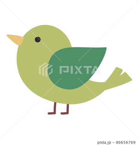 春 手描き 鶯 うぐいす ウグイス イラスト 挿絵 かわいい 鳥 鳥類 生き物 生物 緑 羽 自然のイラスト素材